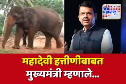 ‘महादेवीला वनतारामध्ये पाठवण्याचा निर्णय सुप्रीम कोर्टाचा’ – मुख्यमंत्री फडणवीस