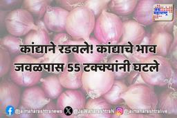 कांद्याने रडवले! कांद्याचे भाव जवळपास 55 टक्क्यांनी घटले