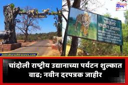 Chandoli National Park Safari : चांदोली सफारी आता महागली; वन विभागाकडून पर्यटन शुल्कात वाढ, पर्यटकांसाठी नवीन नियमावली