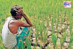 राज्यात अवकाळी पावसाची हजेरी; शेतीचं मोठं नुकसान