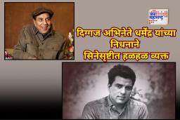 Bollywood Actors On Dharmendra : बॉलिवूडचा ही-मॅन काळाच्या पडद्याआड! कलाकारांनी वाहिली श्रद्धांजली