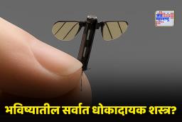 Micro Drones: डोळ्यांना न दिसणारे ‘मायक्रो ड्रोन्स’! अमेरिका-चीनमध्ये नवा शस्त्रसंघर्ष
