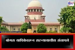 SC On Frivolous Petition: ‘इंग्रजी परीक्षेत 30 गुण मिळवून दाखवा, मगच चौकशी करू’; सरन्यायाधीशांनी याचिकाकर्त्याला भर न्यायालयात झापलं