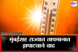 Maharashtra Weather: विदर्भ, मराठवाड्यात उन्हाचा कहर; पुढील काही दिवस उष्णतेची लाट आणखी तीव्र होणार?