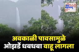 संततधार पावसामुळे कोयनानगरमधील ओझर्डे धबधबा वाहू लागला