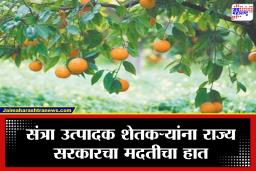 Maharashtra Farmer : संत्रा बागायतदारांना मोठा दिलासा! अवकाळीच्या नुकसानीपोटी 12 कोटी 38 लाखांचे विशेष पॅकेज जाहीर