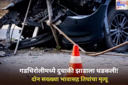गडचिरोलीमध्ये दुचाकी झाडाला धडकली! दोन सख्ख्या भावासह तिघांचा मृत्यू