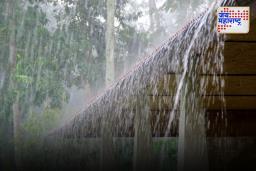 Maharashtra Rain update: राज्यात गुरुवारी सिंधुदुर्ग जिल्ह्यात सर्वाधिक 71 मिलीमीटर पाऊस