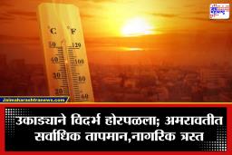 Vidarbha Heatwave: विदर्भात उष्णतेचा कहर वाढला; अमरावती-वर्ध्यात 44.4°C, सहा जिल्ह्यांत पारा 44 च्या पुढे