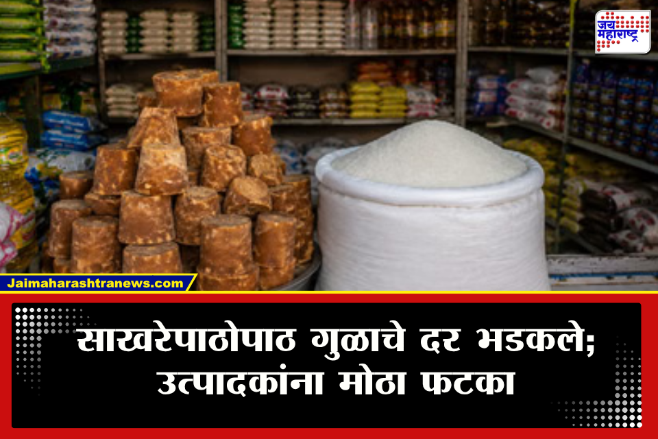 Jaggery Price Hike : सणासुदीच्या काळात सामान्यांचे हाल! साखर महागली, आता गुळानेही वाढवली चिंता; एका किलोसाठी लागणार…
