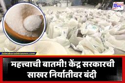 India Bans Sugar Exports : भारतातील साखर निर्यातीवर बंदी; साखरेच्या किमतींवर नियंत्रण ठेवण्यासाठी केंद्र सरकारचा निर्यण