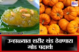 Pumpkin Halwa: सोपी रेसिपी, भन्नाट टेस्ट! घरच्या घरी बनवा भोपळ्याचा हलवा; जाणून घ्या सोपी पद्धत
