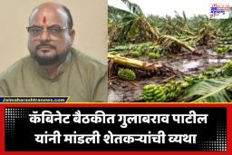 Crop Loss Compensation: वादळामुळे केळी पिकाचे प्रचंड नुकसान; जळगावच्या शेतकऱ्यांसाठी सरकार घेणार मोठा निर्णय, गुलाबराव पाटीलांनी दिली महत्त्वाची अपडेट