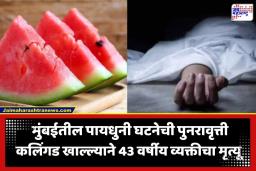 Watermelon Death: मुंबईतील पायधुनी घटनेची पुनरावृत्ती; कलिंगड खाल्ल्याने बाप-लेकावर ओढावला काळ; वडिलांचा मृत्यू, मुलाची प्रकृती चिंताजनक