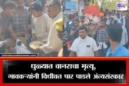 Dhule Monkey Funeral: धुळ्यात विजेचा शॉक लागून वानराचा मृत्यू; गावकऱ्यांकडून हिंदू रितीरिवाजांनुसार अंत्यसंस्कार