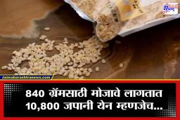 World’s Most Expensive Rice : एक किलो तांदळाच्या किंमतीत खरेदी कराल स्मार्टफोन;  ‘हा’ आहे जगातील सर्वात महागडा तांदूळ, पण इतका महाग का?