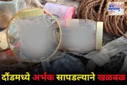उपसभापती डॉ. नीलम गोऱ्हेंची कारवाईची सूचना