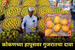 Konkan Hapus Mango : गुजरातचा डोळा आता हापूसवर, कोकण आंबा बागायतदारांची चिंता वाढली, नेमकं प्रकरण काय