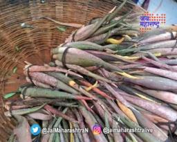 शेवळाची जुडी यंदा महागली