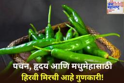 Green Chilli Benefits: हिरवी मिरची आहे पचनाचे टॉनिक! रिकाम्या पोटी खाल्ल्याने मिळतात ‘हे’ अनोखे फायदे