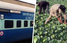 Budget 2020 : शेतकऱ्यांचा माल लोकलच्या एसी डब्यातून
