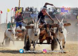 बैलगाडा शर्यतीचा थरार