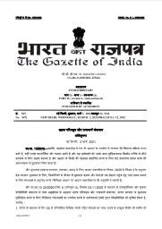 (व्हिडीओ) मुसळधार पावसामुळे गुजरातच्या वस्तीत शिरल्या मगरी