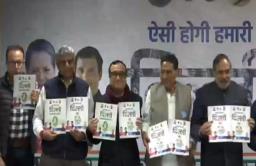 Delhi Election 2020 : वीज सवलतीसह अनेक मोठ्या घोषणा,  दिल्लीकरांसाठी काँग्रेसचा वचननामा