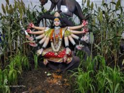 भारतात नवरात्रीची धूम…