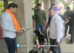 स्टेडियमसाठी दिला बोकडाचा बळी