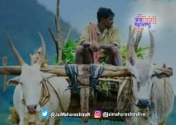 नाशिकच्या शेतकऱ्यांचा जीवघेणा प्रवास