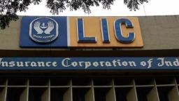 नोकरीची सुवर्णसंधी : LIC मध्ये 8 हजारपेक्षा जास्त पदांसाठी भरती!