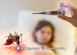 राज्यात साथीच्या आजारांनी काढले डोकंवर