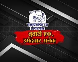 तुतारी एक, उमेदवार अनेक