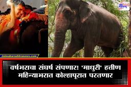 Madhuri Elephant Return Kolhapur : अखेर सातत्याच्या प्रयत्नांना यश! ‘माधुरी’ पुन्हा एकदा नांदणी मठाच्या परिसरात परतणार; ‘वनतारा’च्या टीमकडून पुनर्वसनासाठी नांदणीत पाहणी