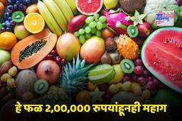 World’s Most Expensive Fruit: अ‍ॅव्होकॅडो किंवा ब्लूबेरी नाही, तर ‘हे’ आहे जगातील सर्वात महागडं फळ