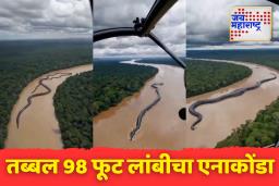 एका युजरच्या पोस्टने उडवली खळबळ; 98 फूट लांबीचा एनाकोंडा पाहून नेटिझन्स थक्क
