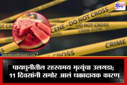 Pydhonie Case: कलिंगड नव्हे तर ‘हे’ ठरलं मृत्यूचं कारण! पायधुनीतील चौघांच्या मृत्यूचं गूढ अखेर उलगडलं