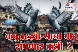 Dadar Kabutarkhana Controversy: कबुतरखान्यावर बंदी कायम, उच्च न्यायालयाचा निर्णय
