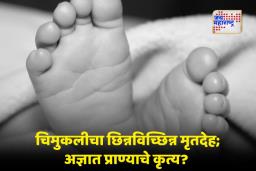 Nagpur News : नागपूर हादरलं! 6 ते 8 महिन्यांच्या चिमुकलीला आईच्या कुशीतून उचललं; काळजाचा थरकाप उडवणारी घटना