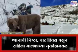 Chamba Viral Video : हाडं गोठवणारी थंडी, समोर मालकाचा मृतदेह… हिमालयातील ट्रेकिंग दुर्घटनेत श्वानानं असं काय केलं की, बचाव पथकाचेही डोळे पाणावले