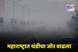 Weather Alert: 2 दिवसांच्या उकाड्यानंतर आज महाराष्ट्रात हाडं गोठवणारी थंडी; राज्यात कोणता अलर्ट जारी?