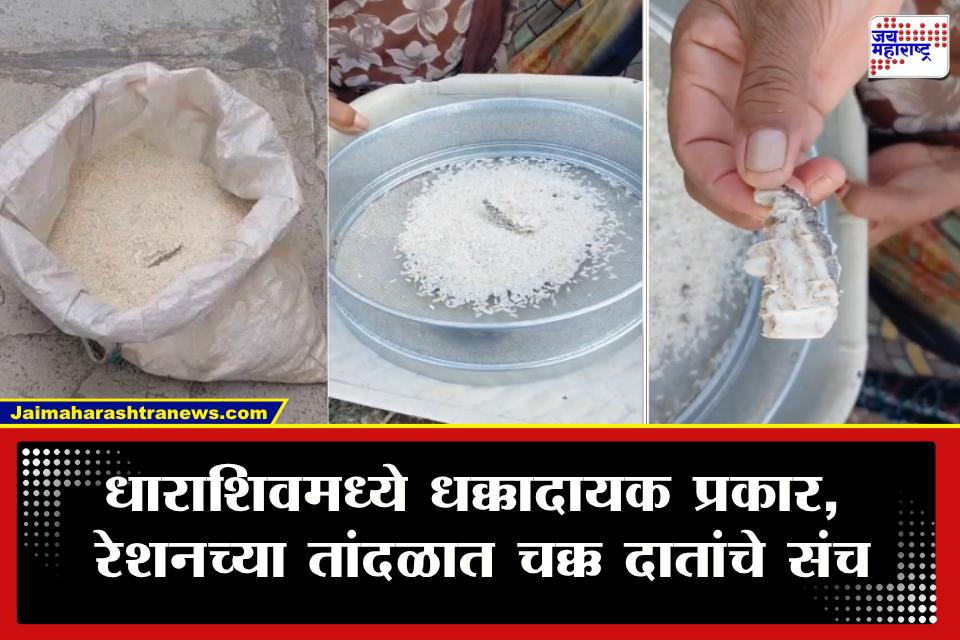 Dharashiv : रेशनचा तांदूळ घरी आणला अन् पिशवीत पाहून धक्काच बसला! धाराशिवमध्ये अन्नधान्याच्या गुणवत्तेवर गंभीर सवाल   