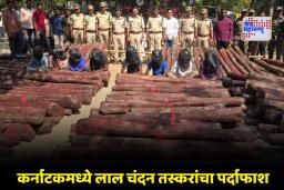 Red Sandalwood Seized : मोठी कारवाई! तब्बल 1,143 किलो लाल चंदनासह तीन वाहनं जप्त; चंदनाची किंमत करेल थक्क