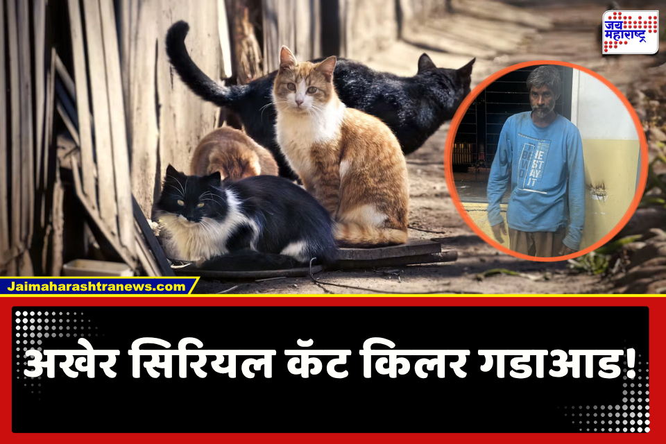 Mumbai Crime : ‘सिरियल कॅट किलर’ अखेर अटकेत! तब्बल 20 मांजरांचा केला होता निर्घृण खून; आरोपीवर होतं 50 हजाराचं बक्षीस