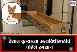 First Dog Crematorium : कुत्र्यांच्या अंत्यसंस्कारासाठी मोठे पाऊल! देशात प्रथमच कुत्र्यांच्या मृतदेहांना ‘सीएनजी’ शवदाहिनीत दिला जाणार अग्नी
