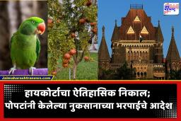 Parrot Crop Damage Verdict : पोपटांनी केलेलं नुकसान सरकारला भरून द्यावं लागणार, शेतकऱ्याला प्रदीर्घ काळानंतर मिळाला न्याय, नेमकं प्रकरण काय?