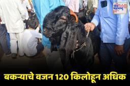 काय सांगता, बोकडाची किंमत चक्क 1 लाख रुपये