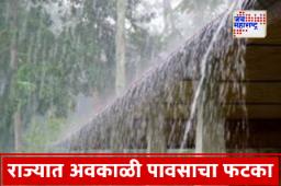 Maharashtra Rain Alert : राज्यात अवकाळी पावसाने शेतीचे नुकसान; हवामान विभागाने दिला सतर्कतेचा इशारा