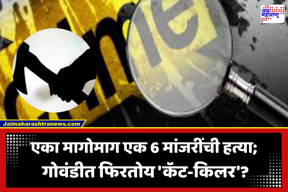 Govandi: गोवंडीत माथेफिरू ‘कॅट-किलर’चा वावर? 3 दिवसांत 6 मांजरी संपवल्या, नेमकं प्रकरण काय?